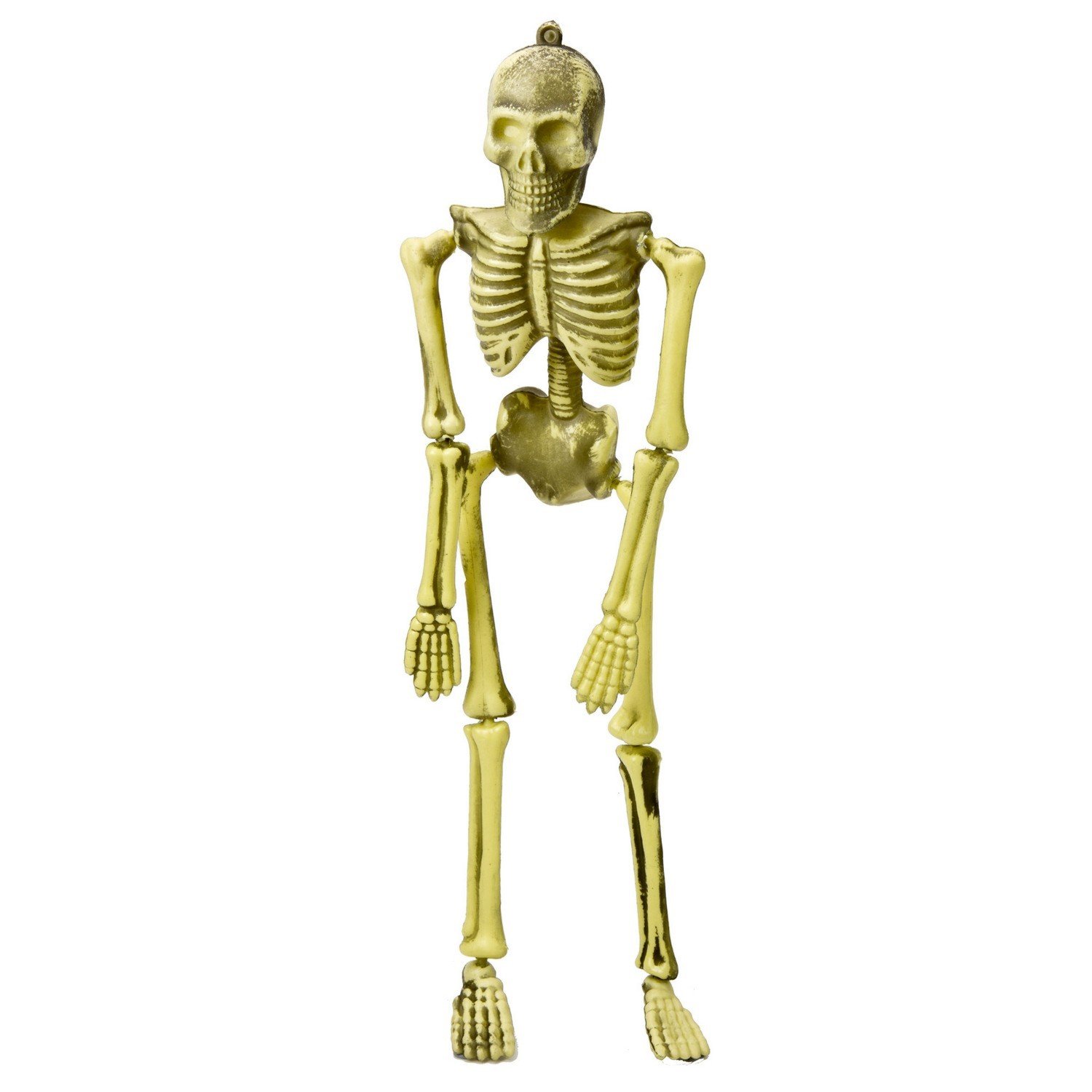 Hanging Skeleton Decoration Image