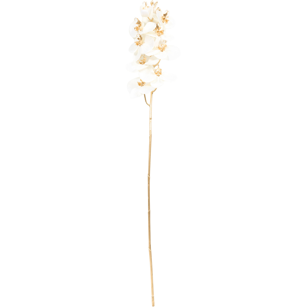 Shimmer Orchid Stem Image 8