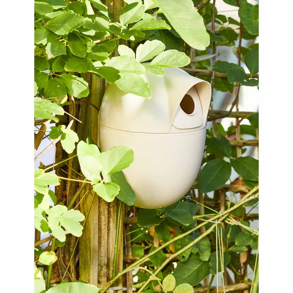 Wilko Wild Bird Nest Egg Wilko