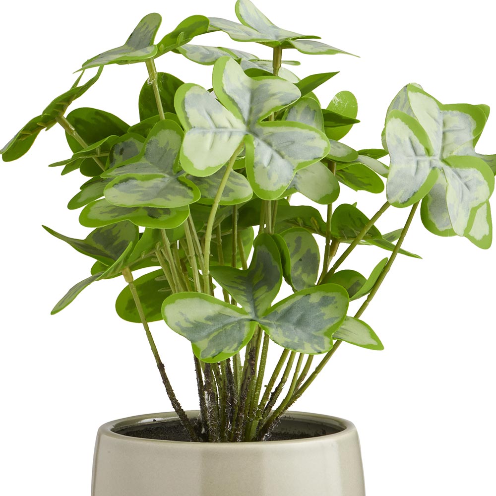 Soft Sanctuary Faux Plant In Footed Pot Image 4