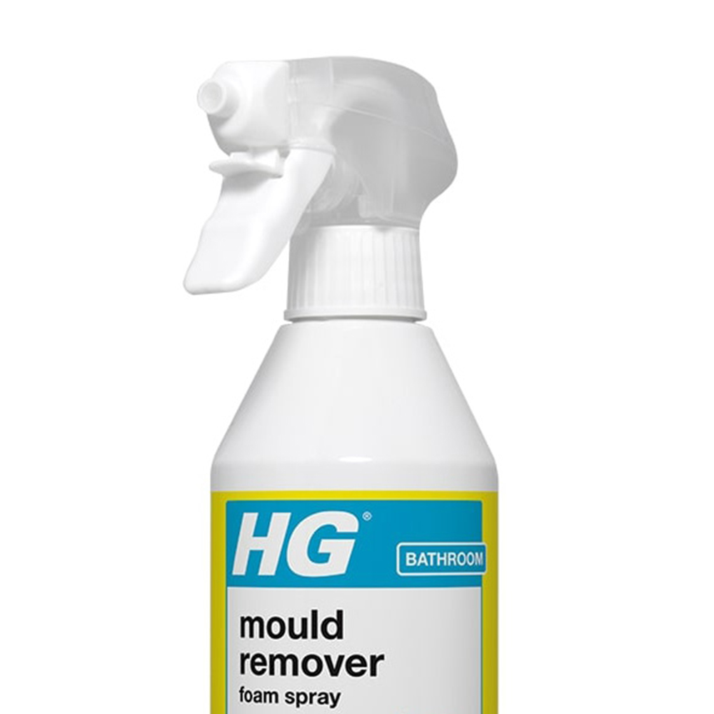 HG Mould Spray 500ml Wilko