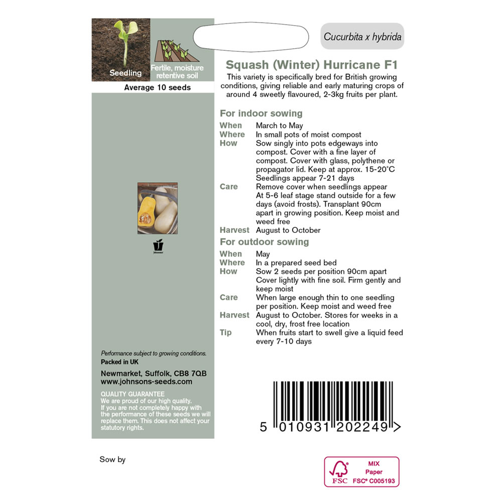 Johnsons Butternut Squash Hurricane Seeds Wilko