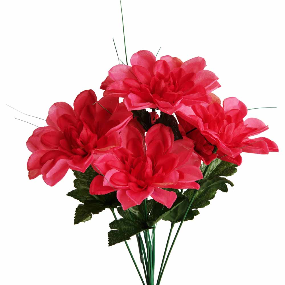 Wilko Dahlia Bush Pink Wilko