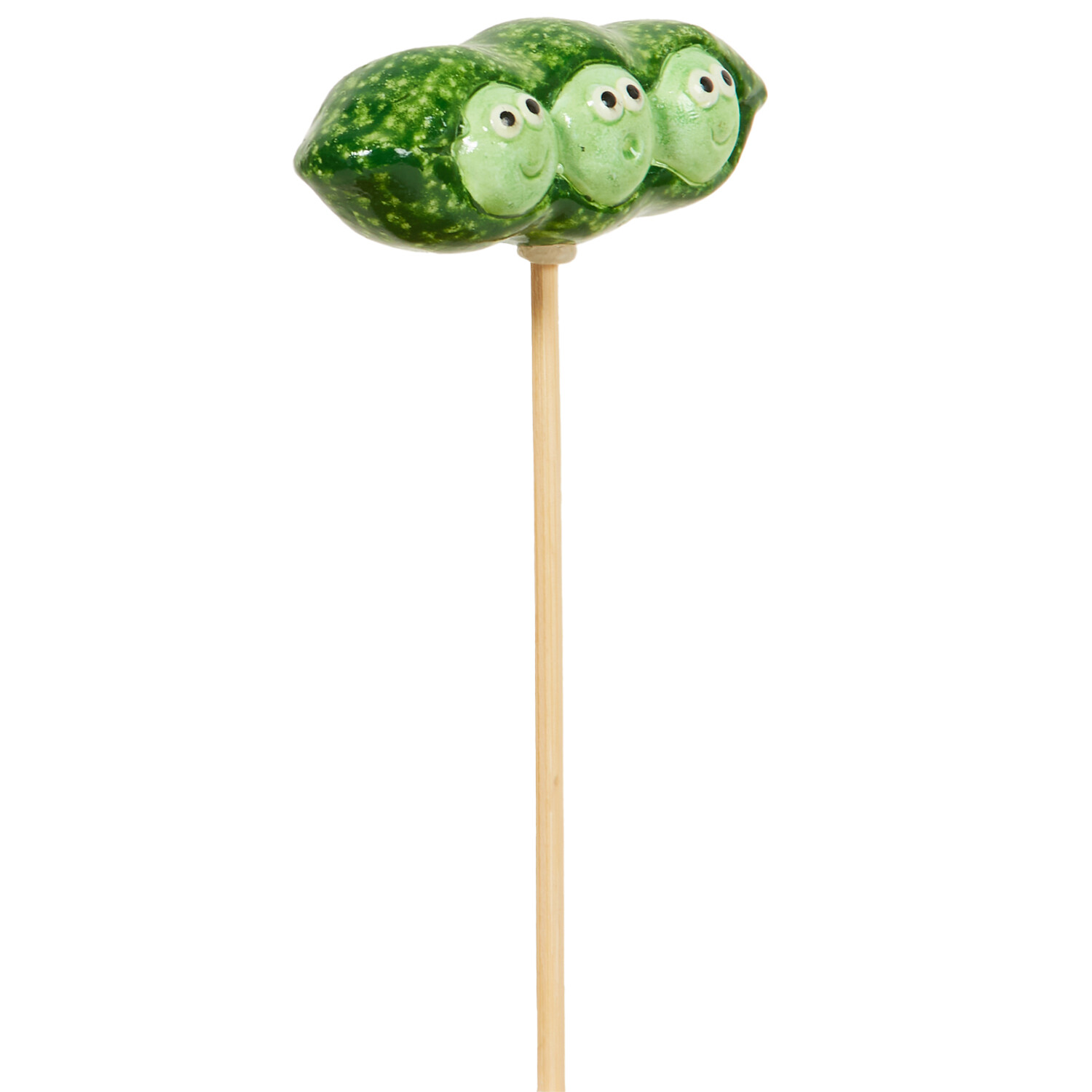 Fruit and Veg Garden Stakes Image 6