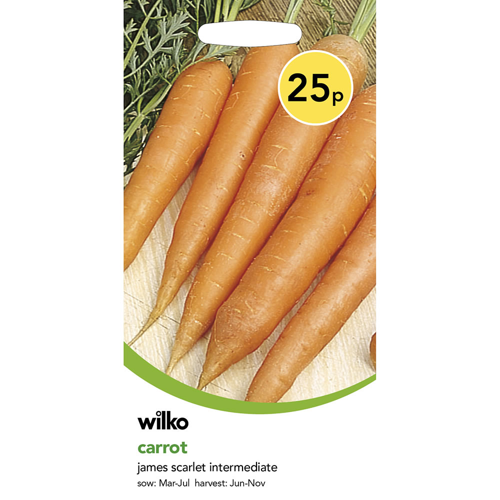 Wilko Carrot James Scarlet Intermediate Seeds Image 2