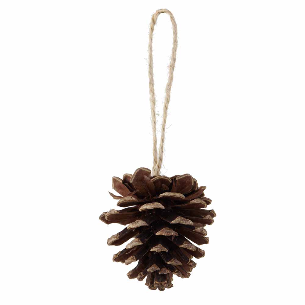 Wilko Traditional Pine Cones 4pk Decoration Image 1