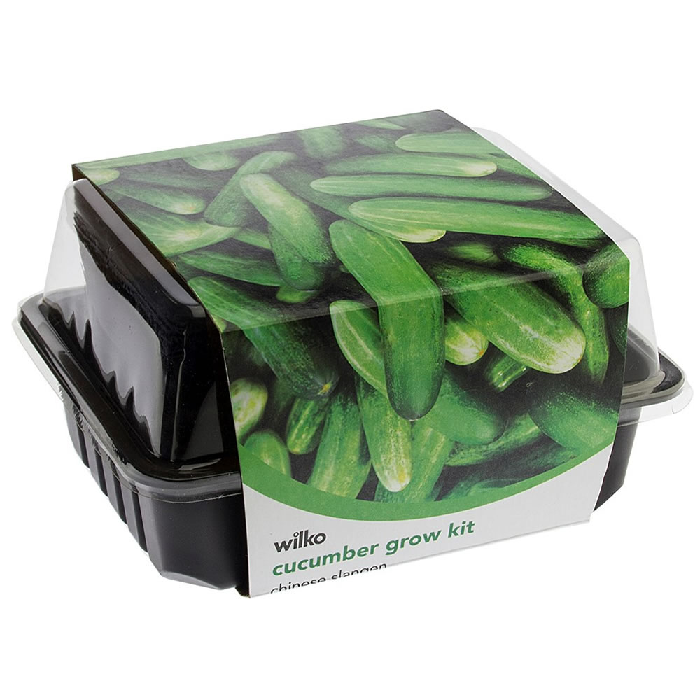 Wilko Cucumber Grow Kit Image