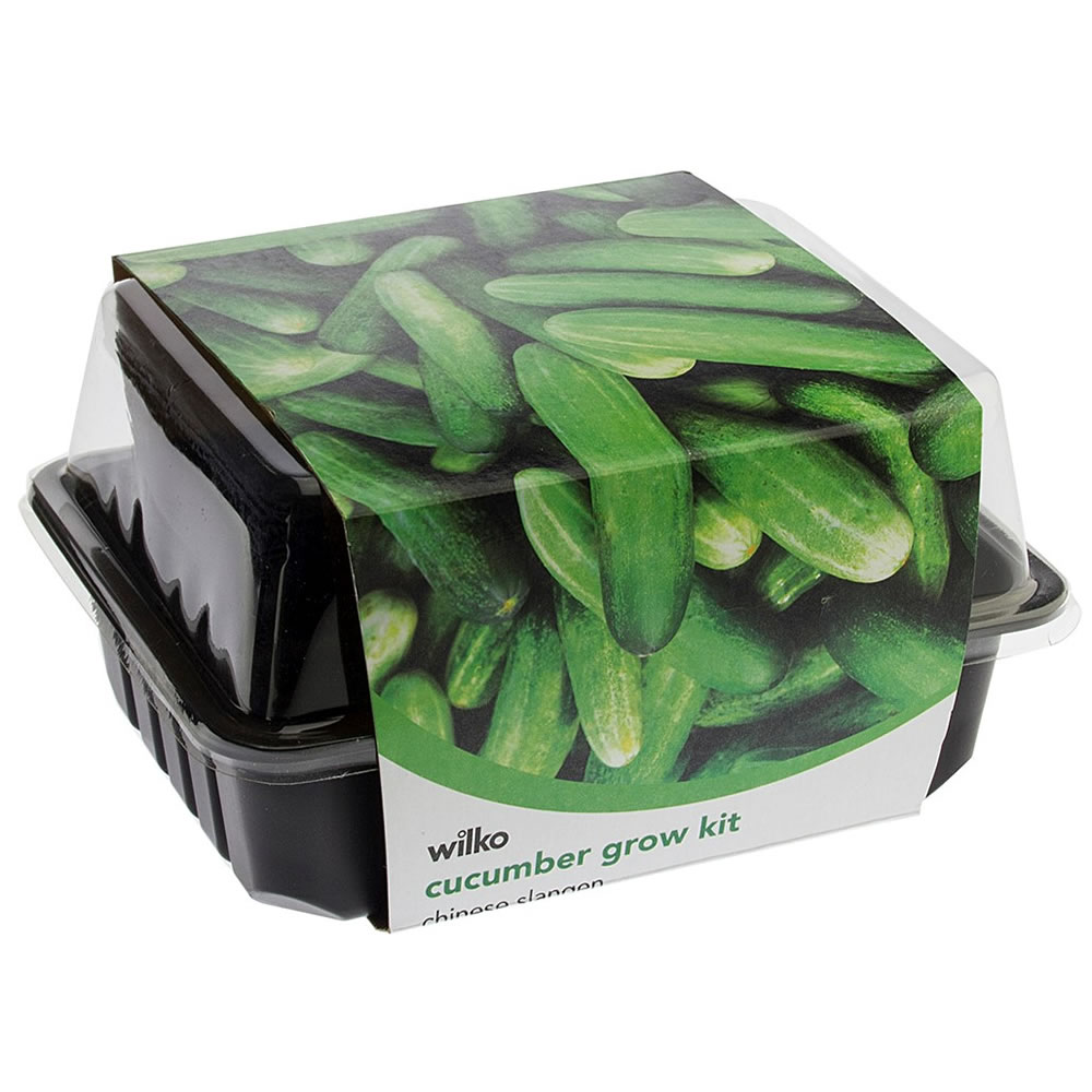 Wilko Cucumber Grow Kit Wilko