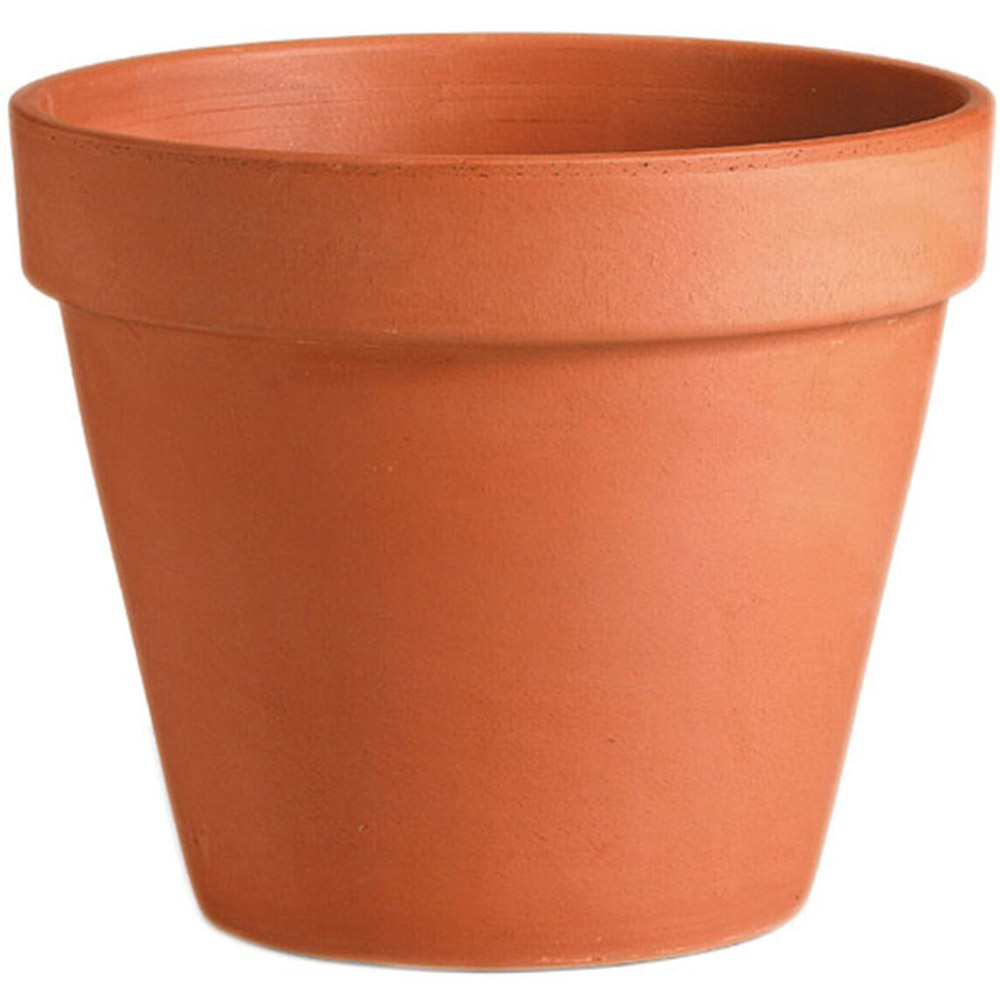Terracotta Plant Pot 11cm Image