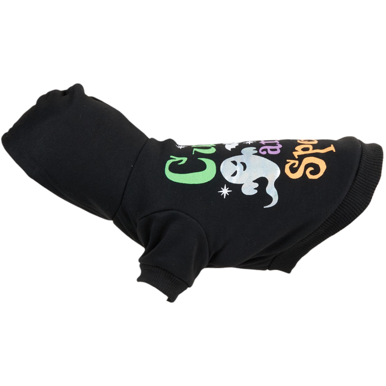 Halloween Dog Hoodie Black Medium Image 3