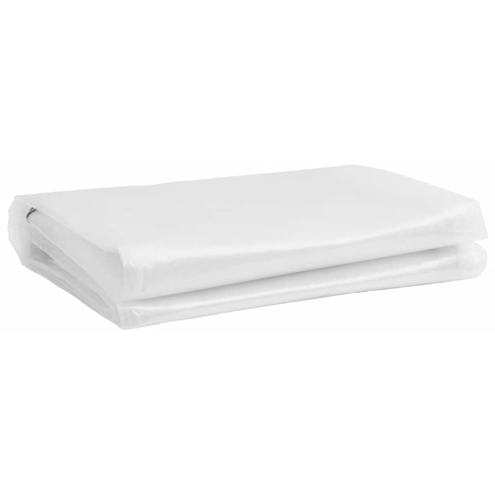 Walplus Clear Tarpaulin with Eyelets 1 x 3m Image 3