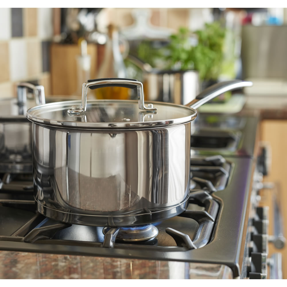 Wilko 20cm Stainless Steel Saucepan Wilko