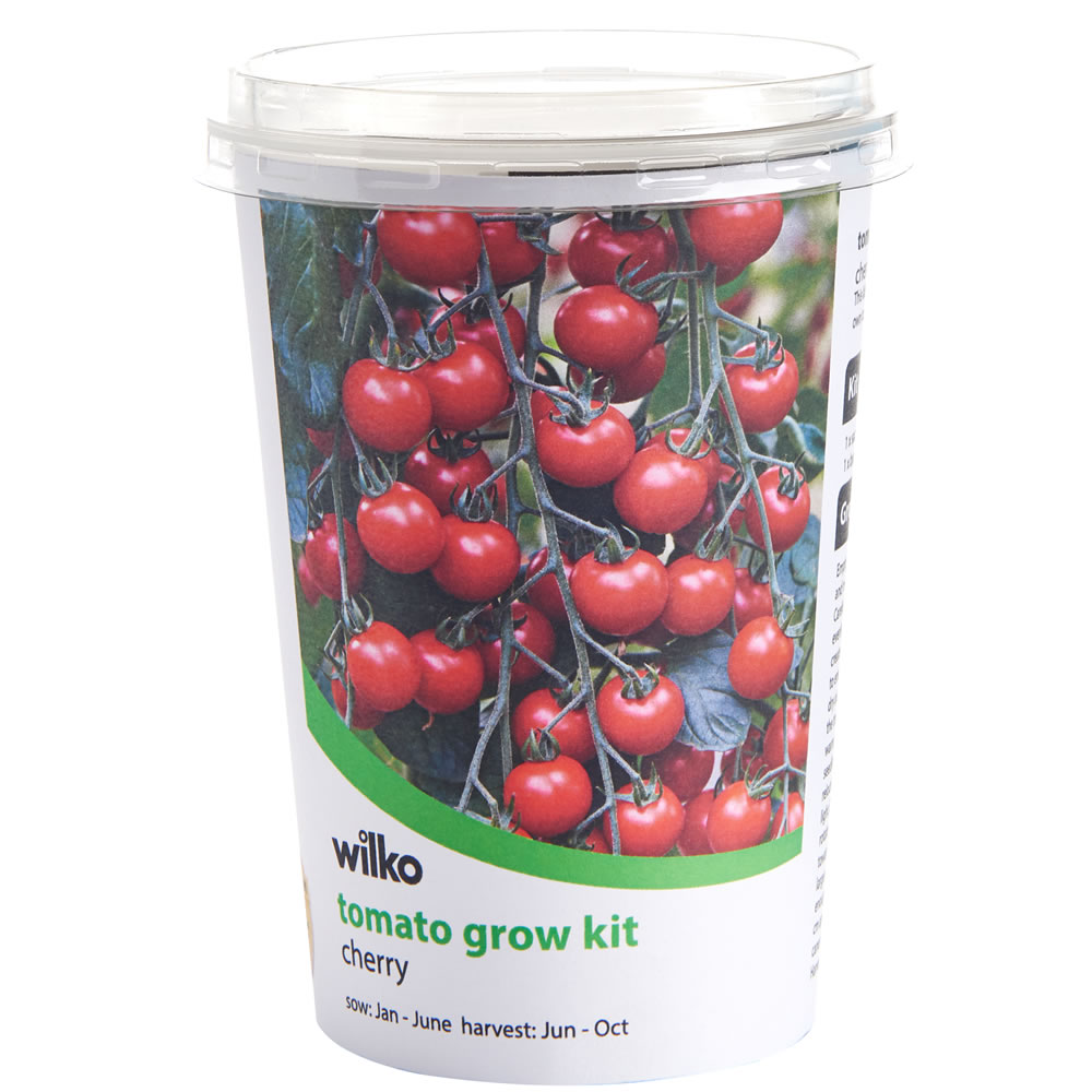Wilko Cherry Tomato Veg Pot Image