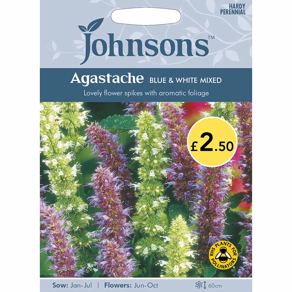 wilko Seeds Agastache Blue and White Mixed Image 2
