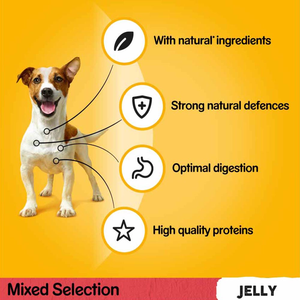 Pedigree Adult Wet Dog Food Pouches Mixed in Jelly Mega Pack 40 x 100g Image 9