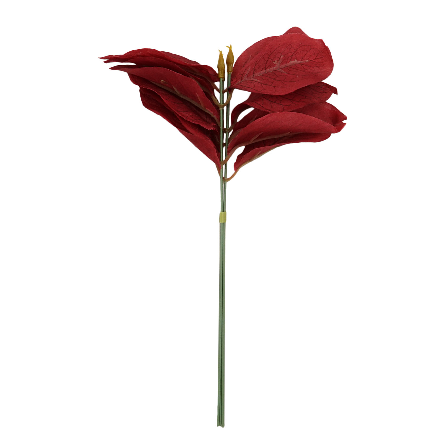 Small Eucalyptus Bundle Wilko