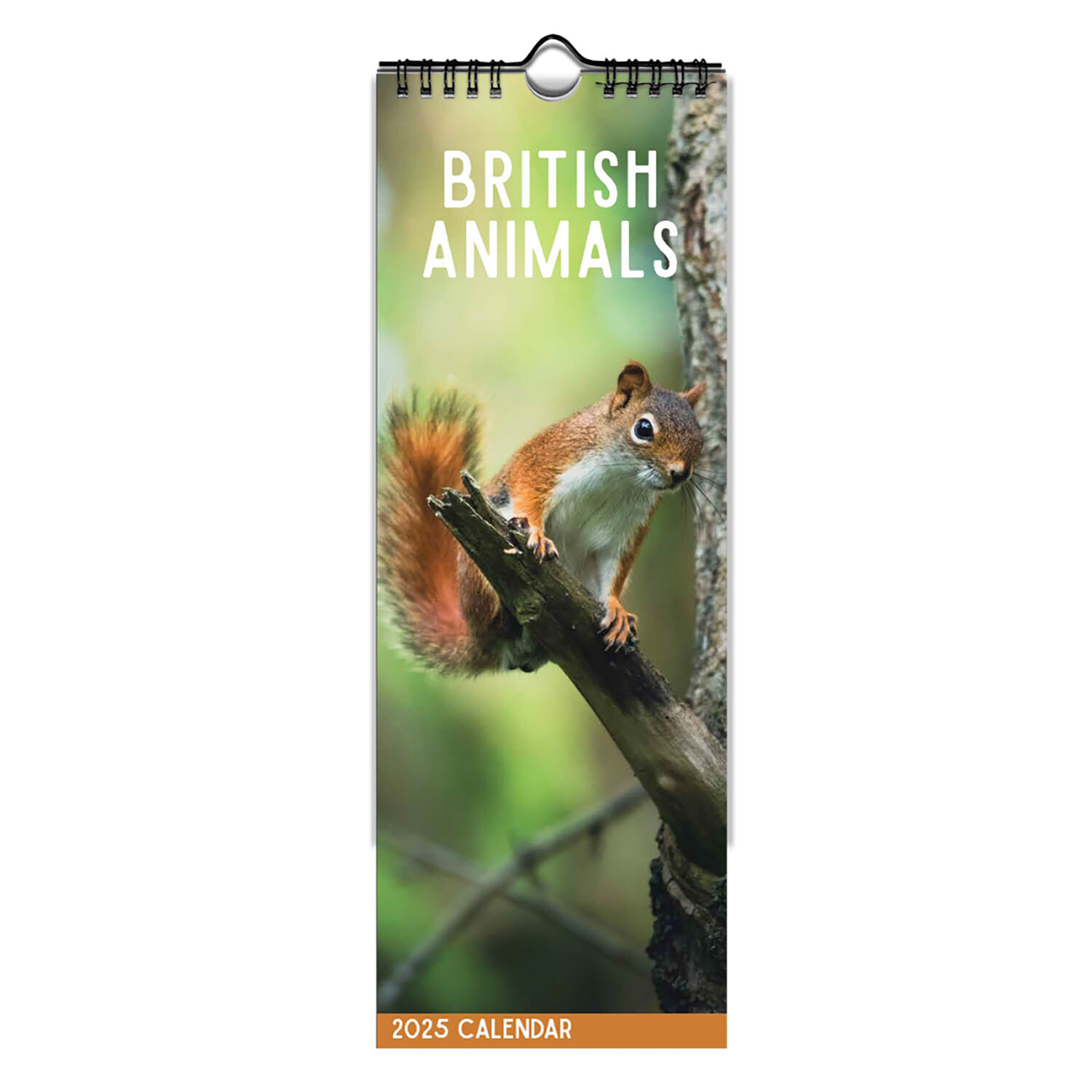 2025 Wildlife Slimline Spiral Calendar - Multicolour Image 3