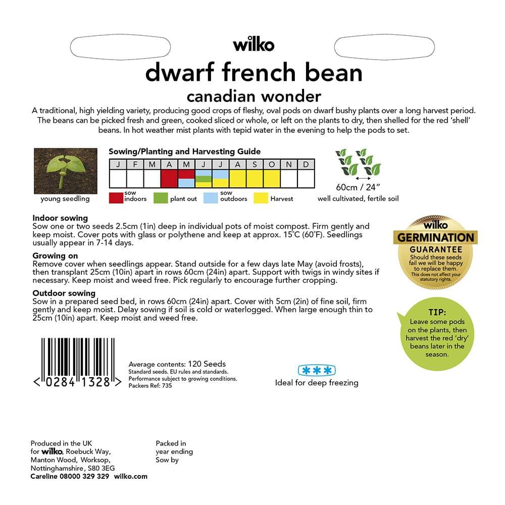 Wilko Dwarf French Bean Canadian Wonder Seeds Image 3