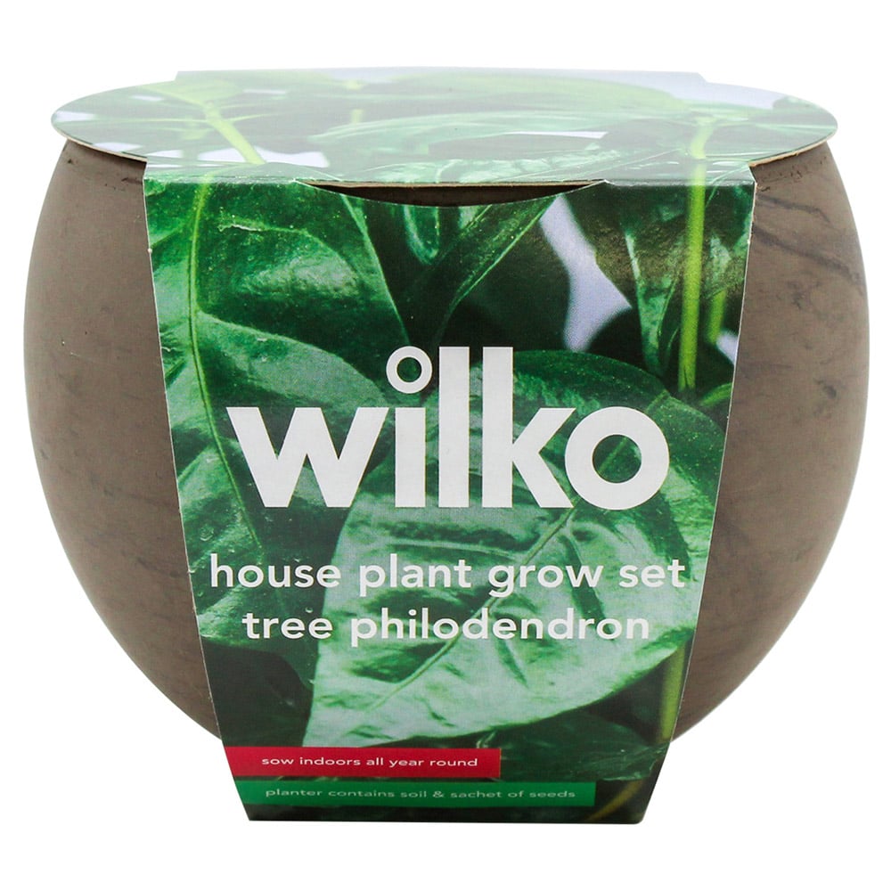 WilkoPhilodendron House Plant Grow Kit Image 3