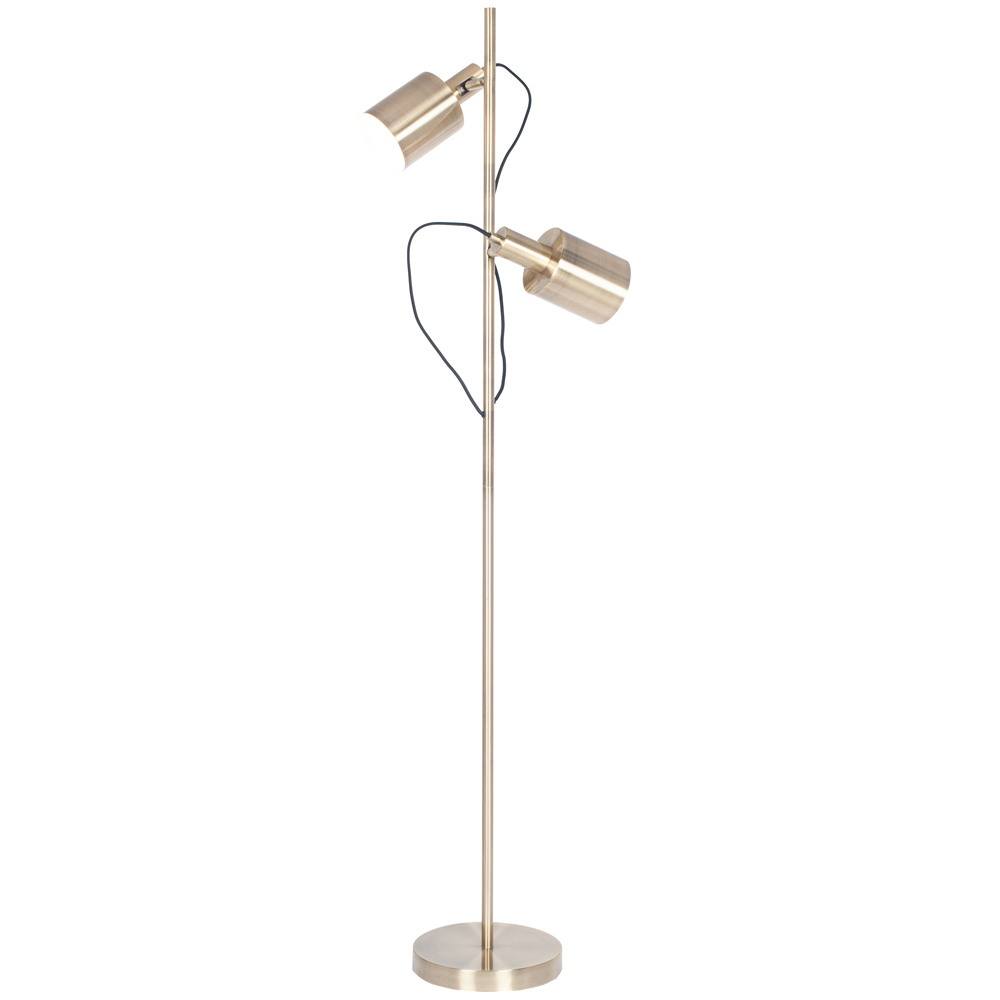 Pacific Lifestyle Aaron Antique Brass Metal Floor Lamp Image 1