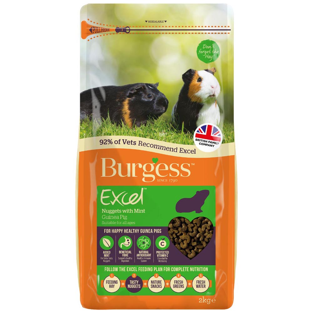 Burgess Excel Guinea Pig Nuggets with Mint 2kg Image 1