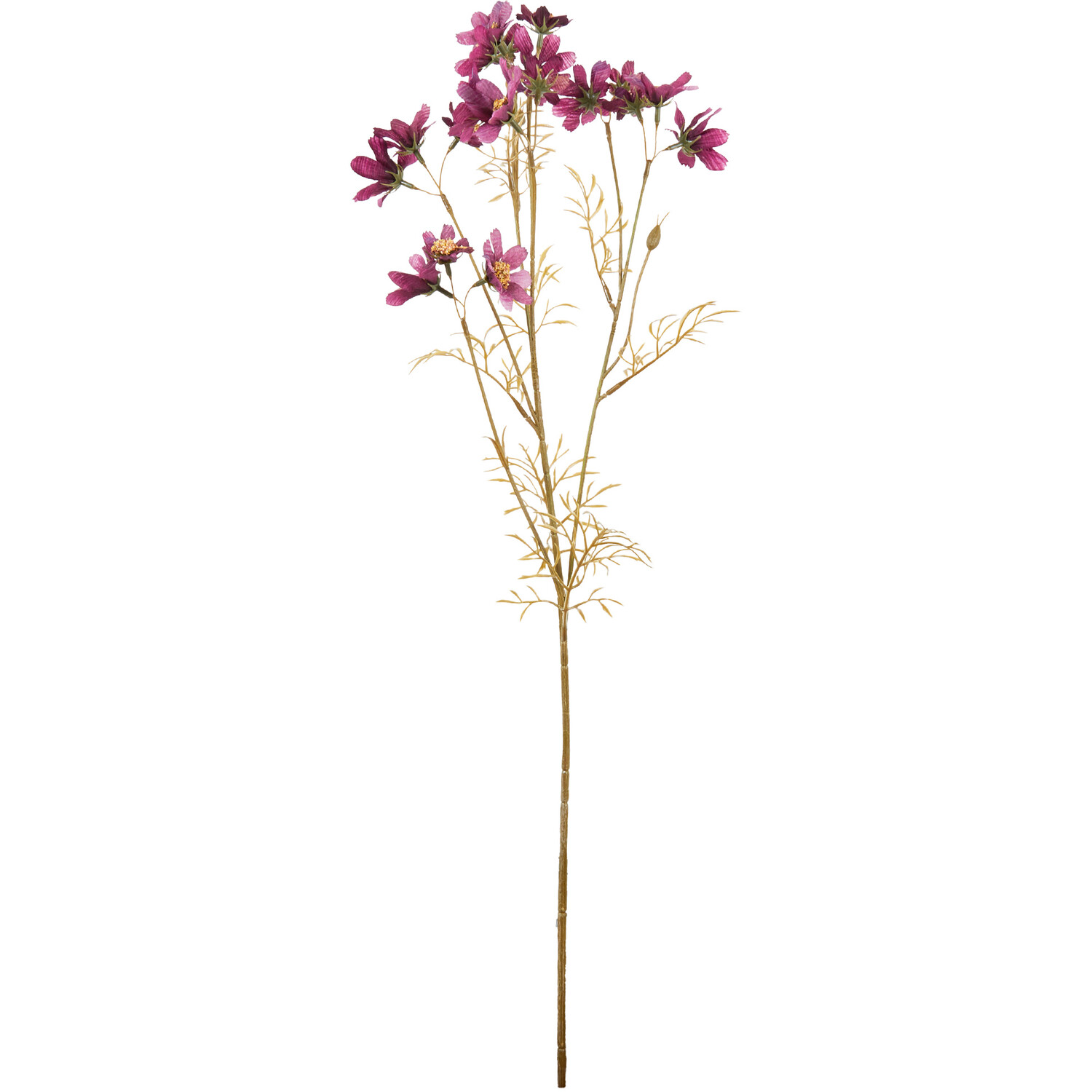 Sky Cosmos Flower Spray Image 1