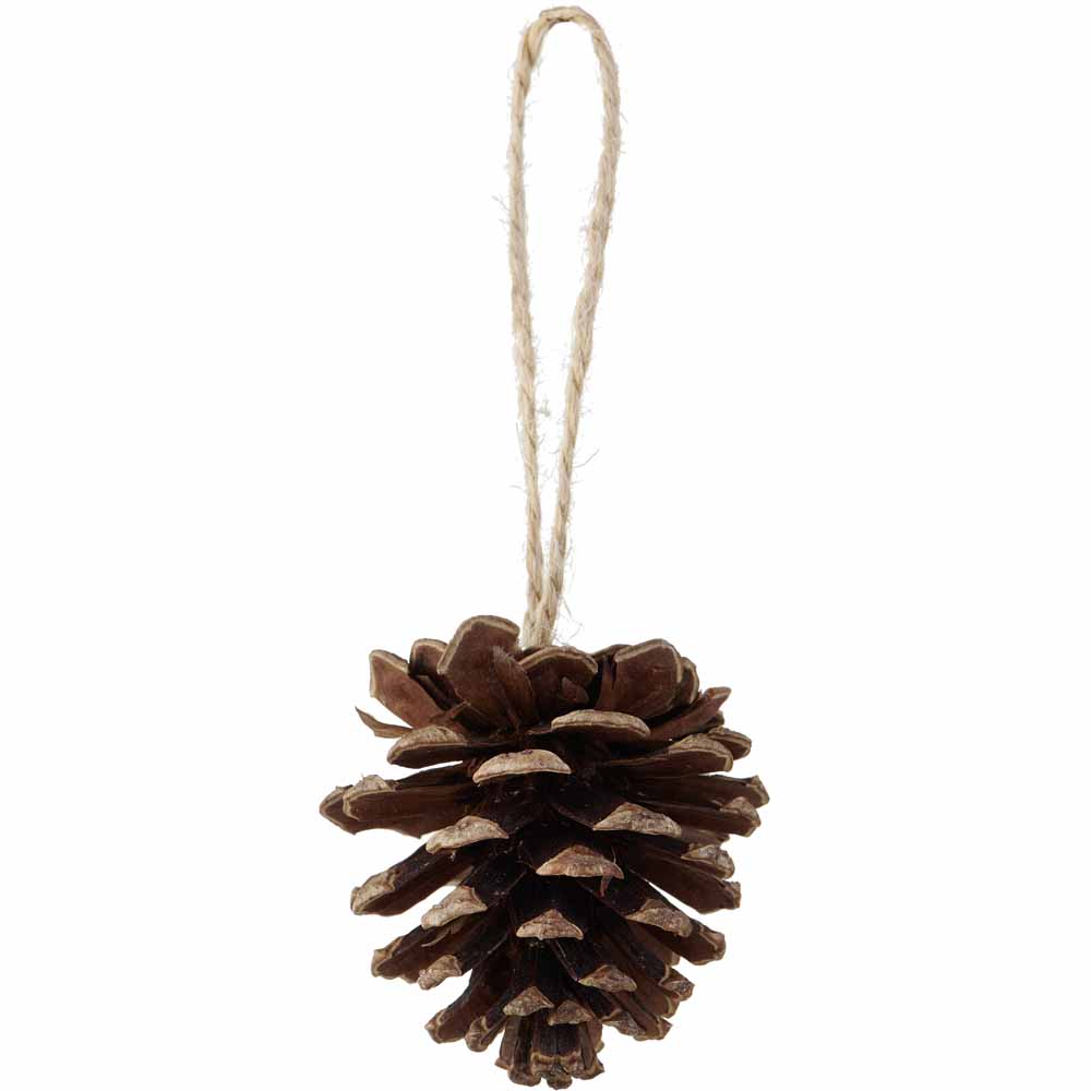 Wilko Cosy Trad Pine Cone Hanging Decoration 4 Pack Image 2