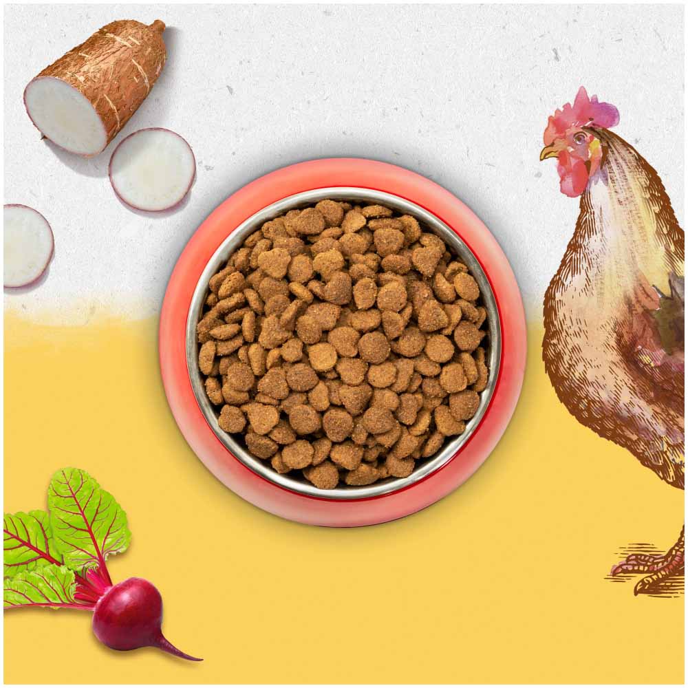 Beyond Grain Free Dry Cat Food Rich in Chicken 700g Image 3