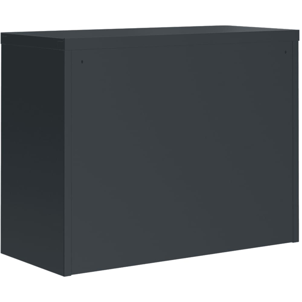 vidaXL 2 Door Anthracite Metal Lockable File Cabinet Image 6