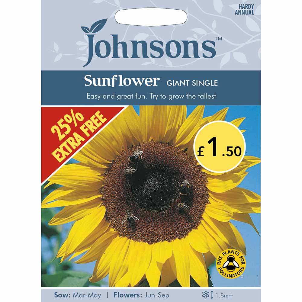 Johnsons  Sunflower Giant Single Seeds Image 1