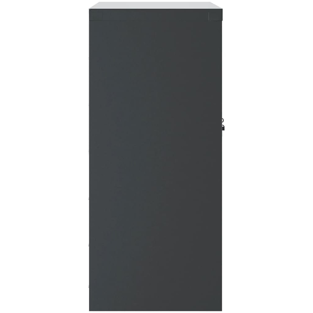 vidaXL 2 Door 2 Shelf Anthracite Steel Lockable File Cabinet Image 5