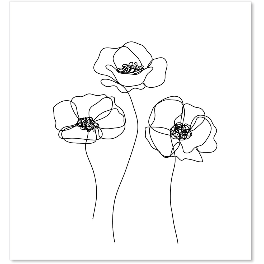 Warren Reed Designer Monochrome Line Drawn Poppies Glass Kitchen Splashback 75 x 70cm Image 2