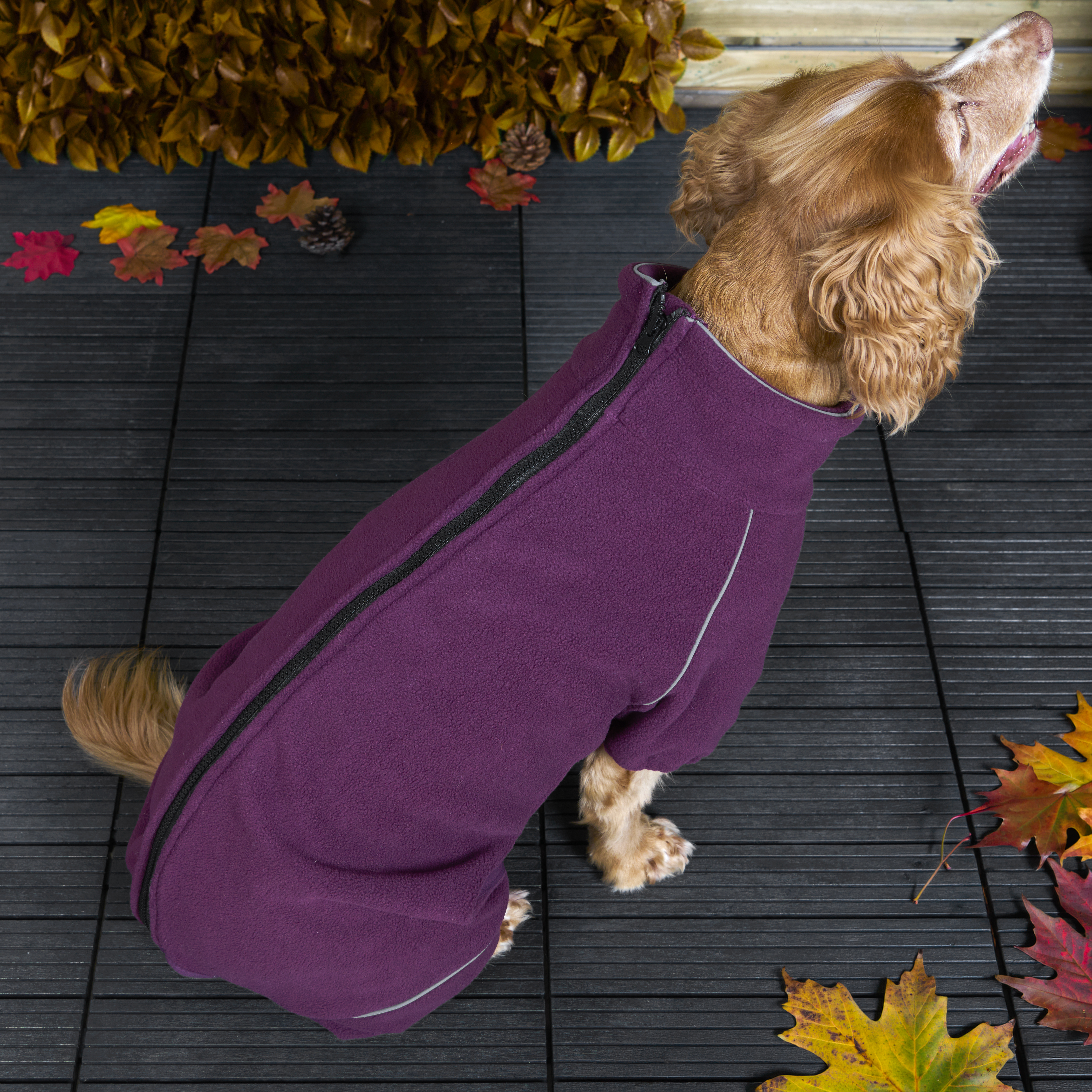 Full Leg Polar Pet Fleece S Image 10