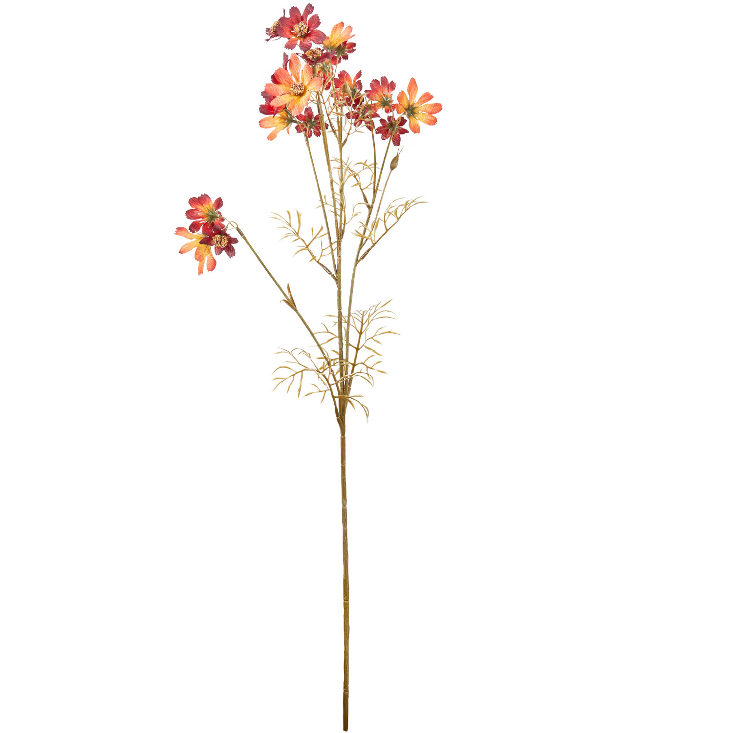 Sky Cosmos Flower Spray Image 2