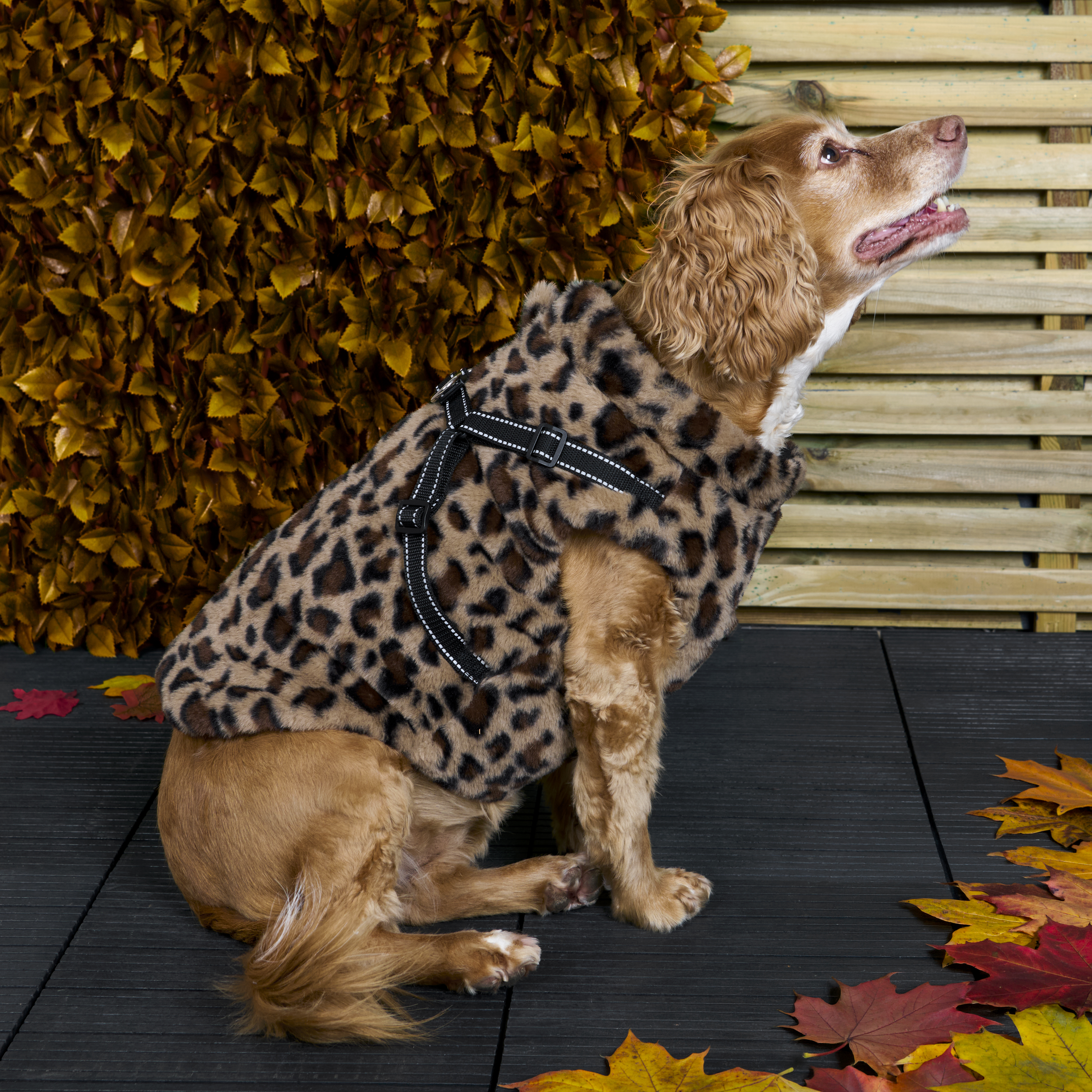 Fluffy Harness Dog Coat XS Image 6