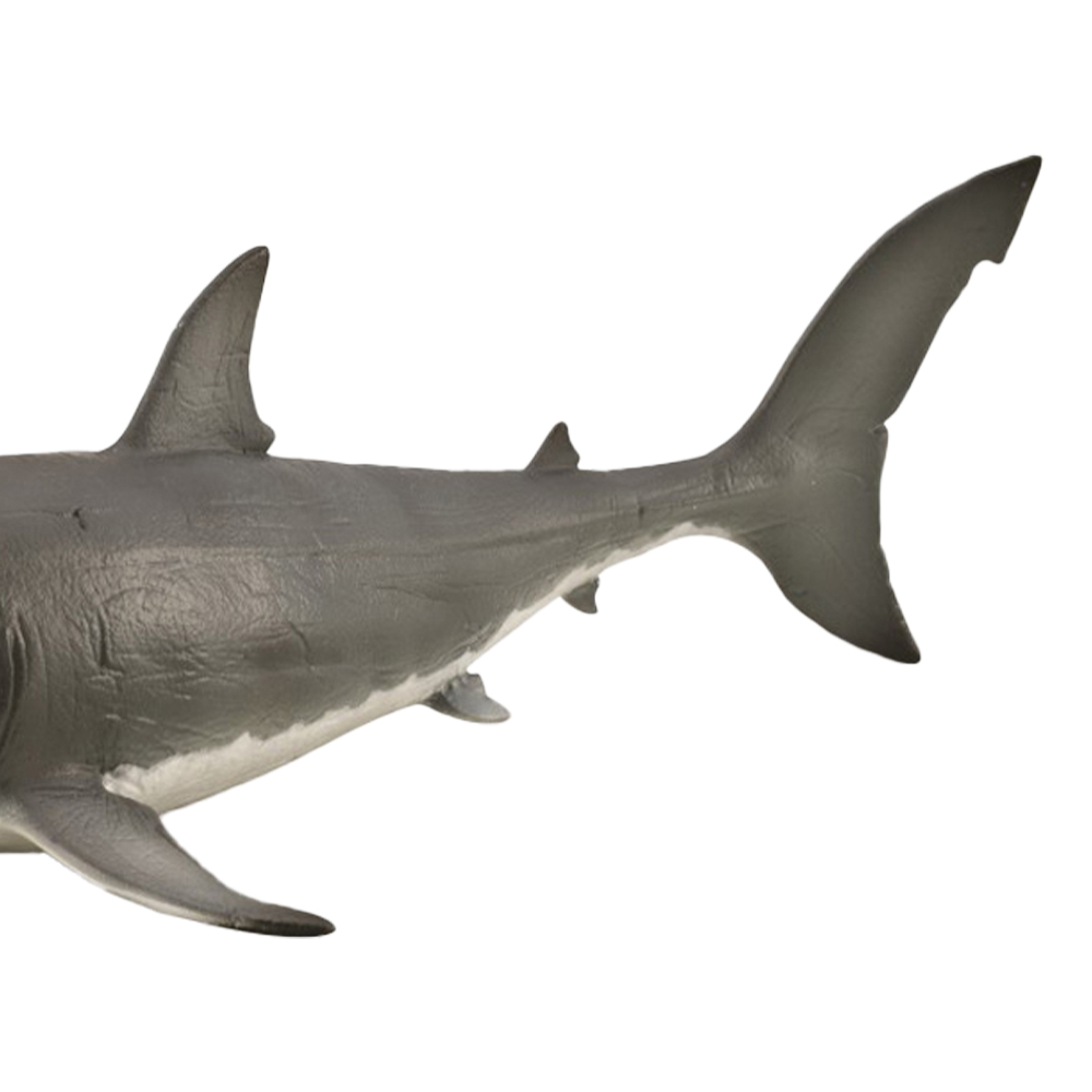 CollectA Megalodon with Movable Jaw Image 3