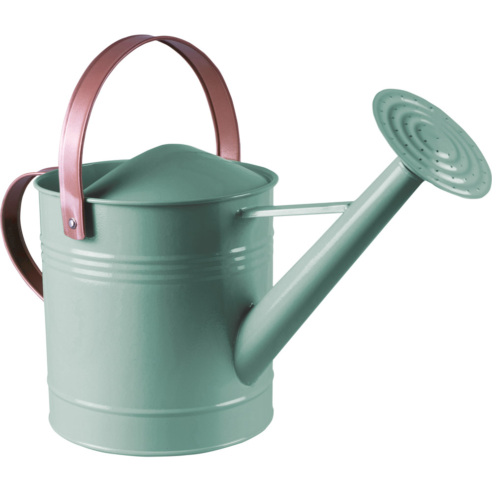 St Helens Blue Metal Watering Can with Sprinkler Nozzle 4.5L Image