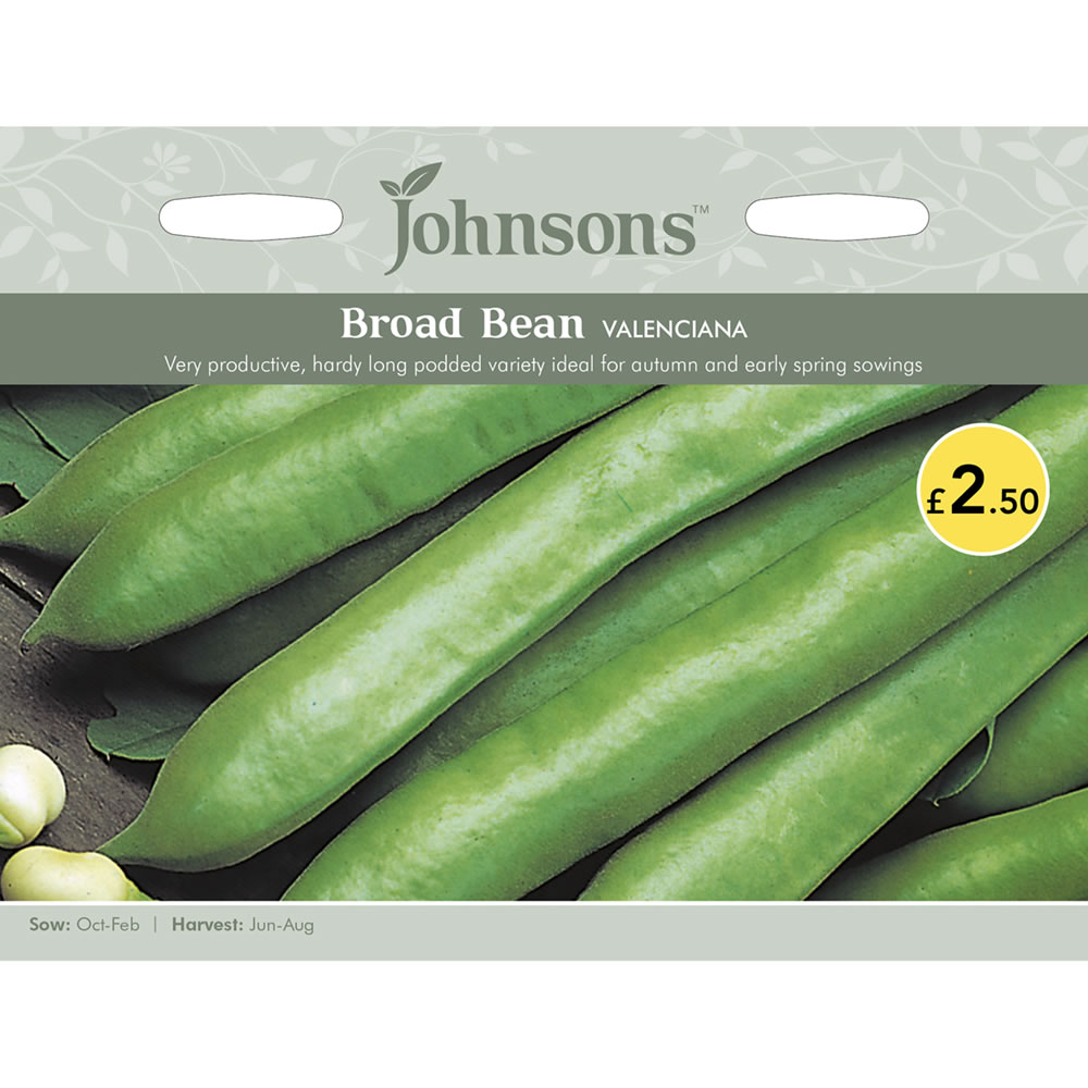 Johnsons Broad Bean Valenciana Seeds Image 2