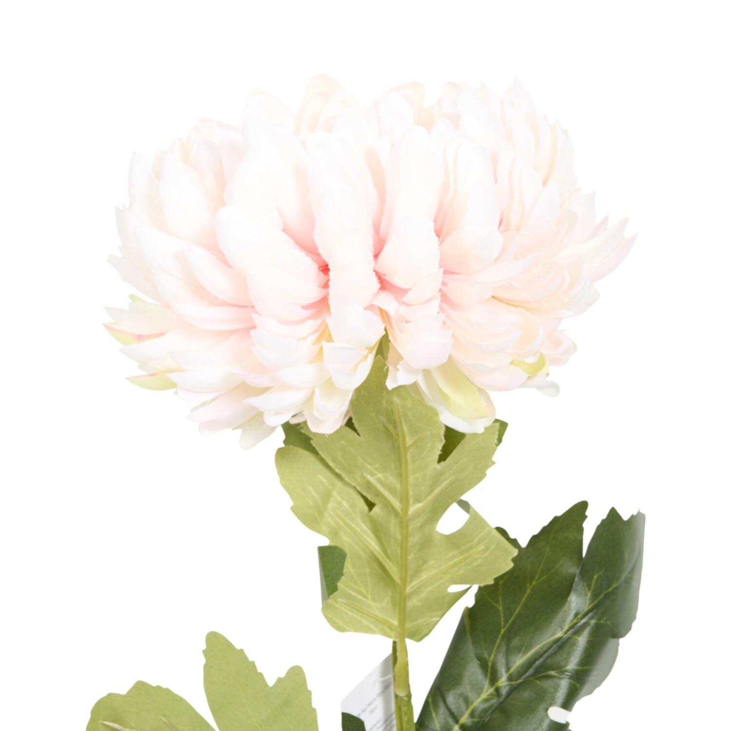 Large Fuji Mum Pom Stem 70cm Asrt Image 6