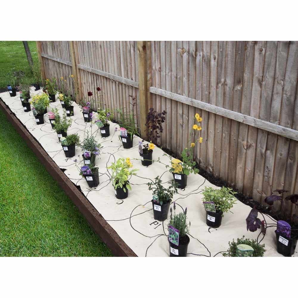 Garden On A Roll Wildlife Border Pack 6m x 60cm Wilko