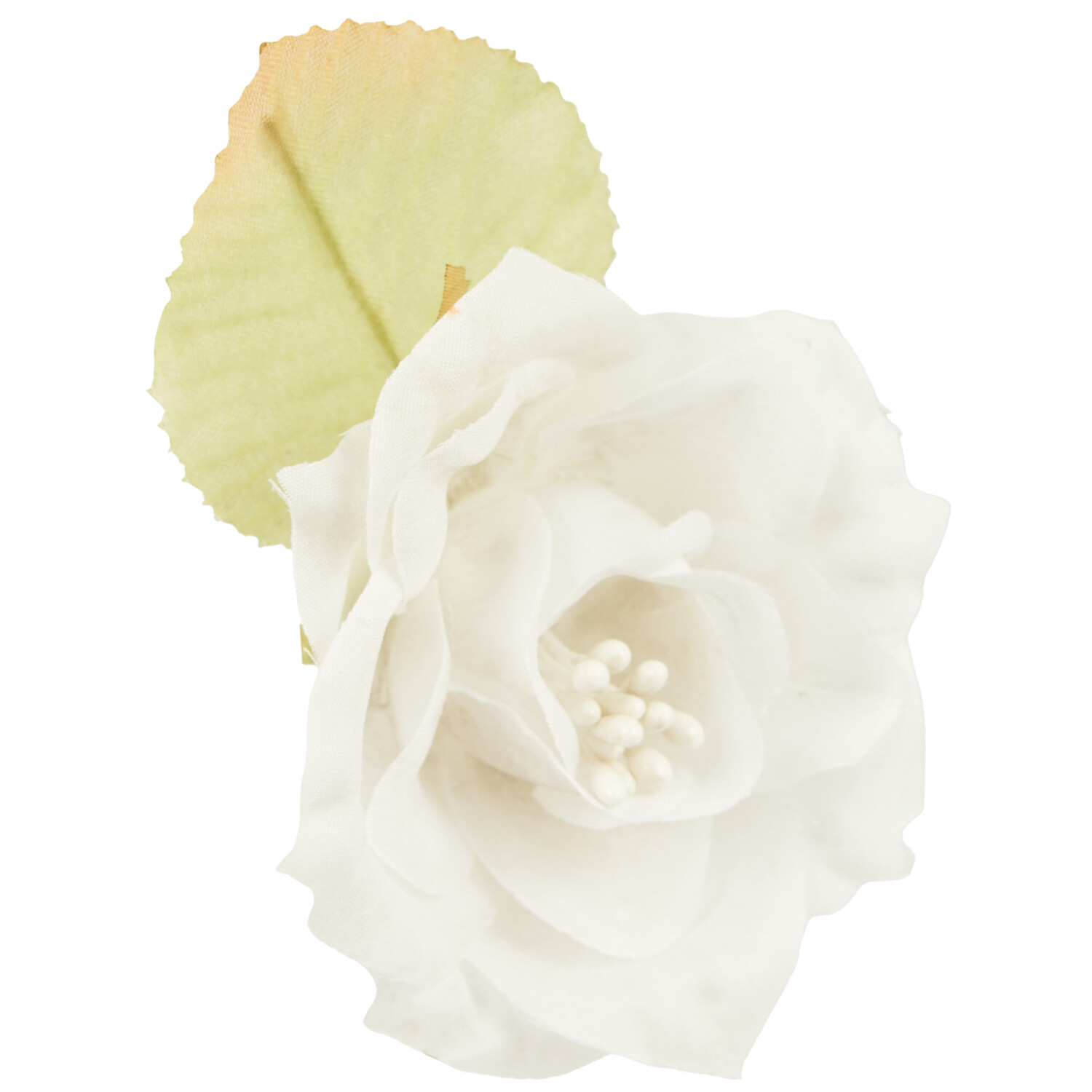 Assorted Rose Head with Stem - White or Pink or Cream Image 2