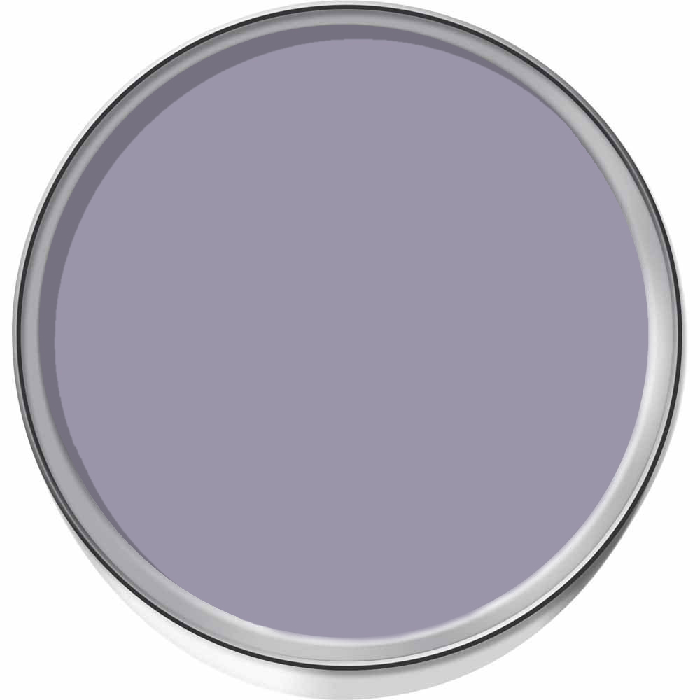 Wilko Statement Walls Lilac Fields Matt Emulsion Paint 1.25L Image 4