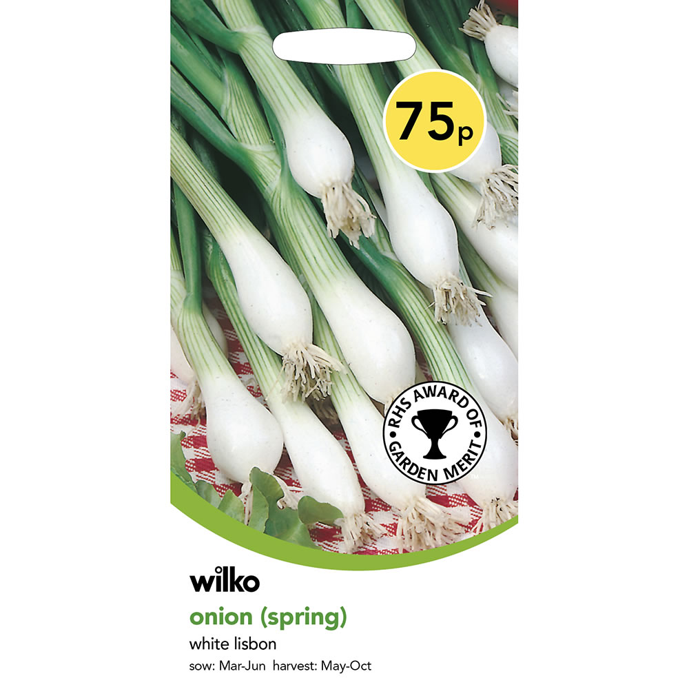 Wilko Onion Spring White Lisbon Seeds Image 2