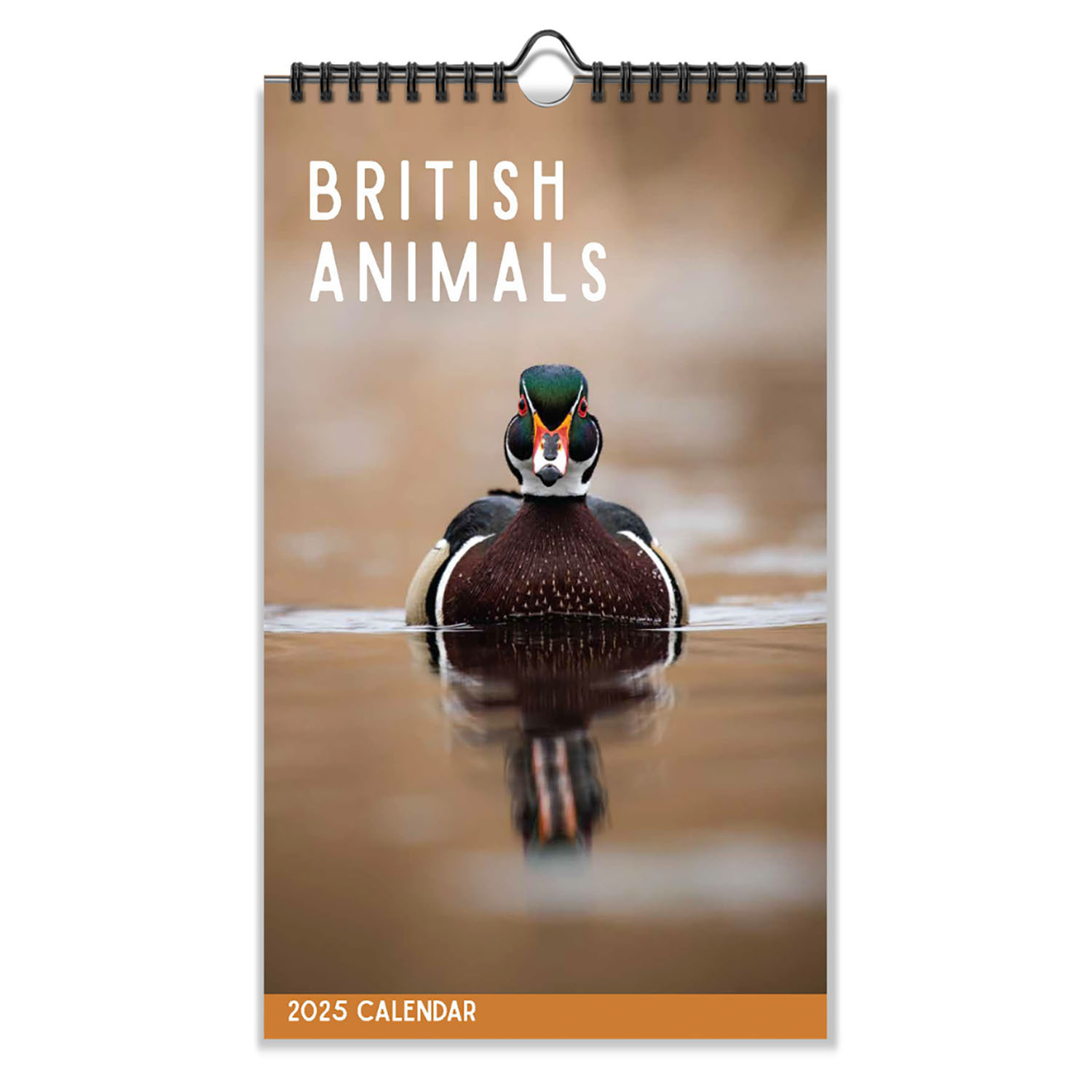 2025 Wildlife Midi Spiral Calendar - Multicolour Image 2