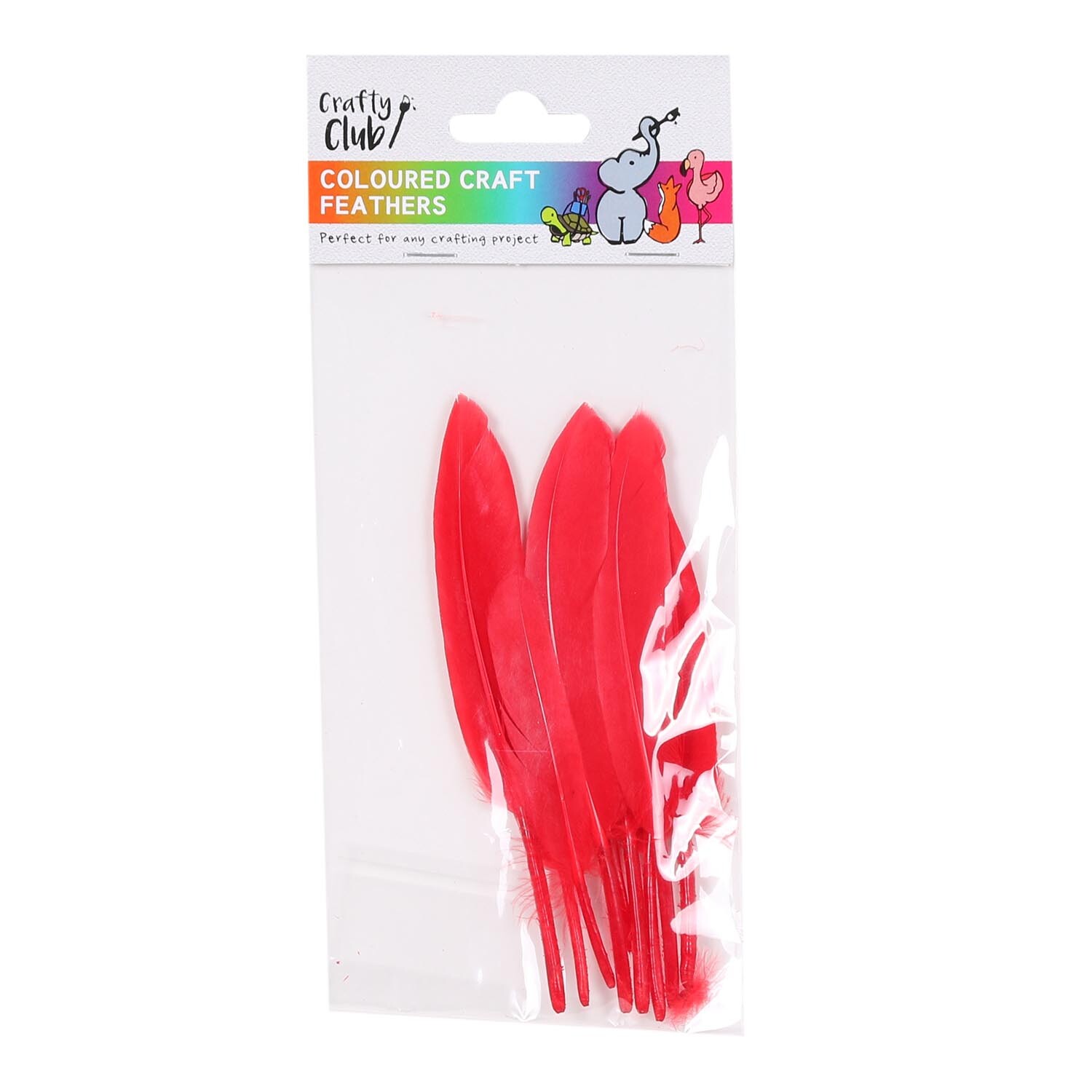 Crafty Club Coloured Craft Feathers Image 1