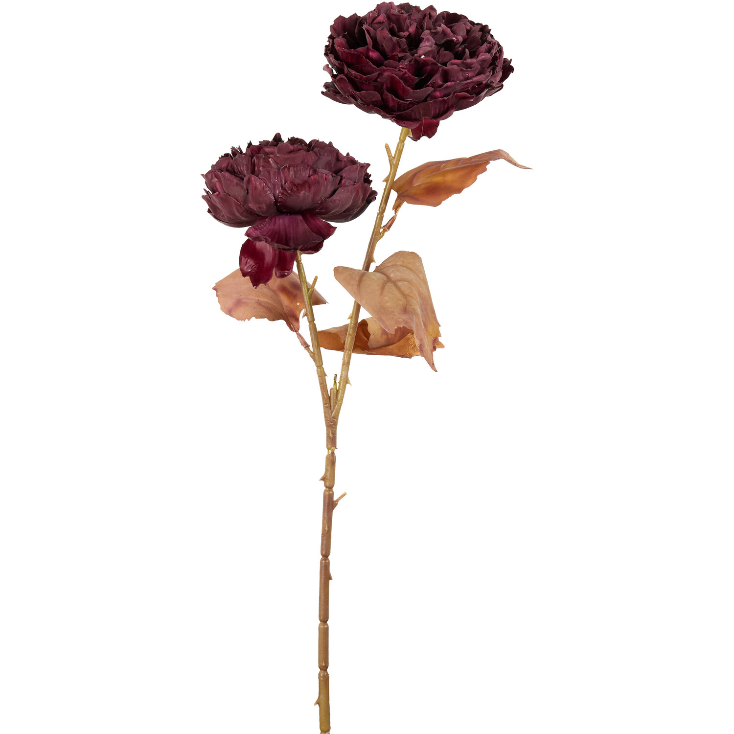 Faux Dried Peony Flowers - Mulberry Image 1