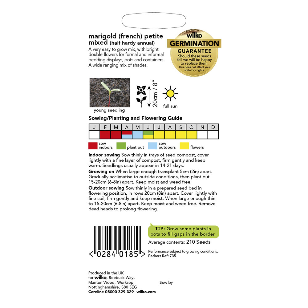 Wilko Marigold French Petite Mixed Seeds Image 3