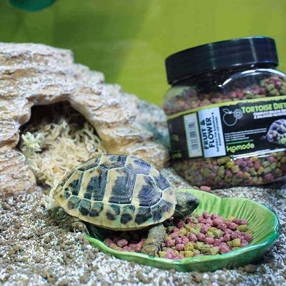 Komodo Tortoise Diet Fruit & Flower 170g Image 2