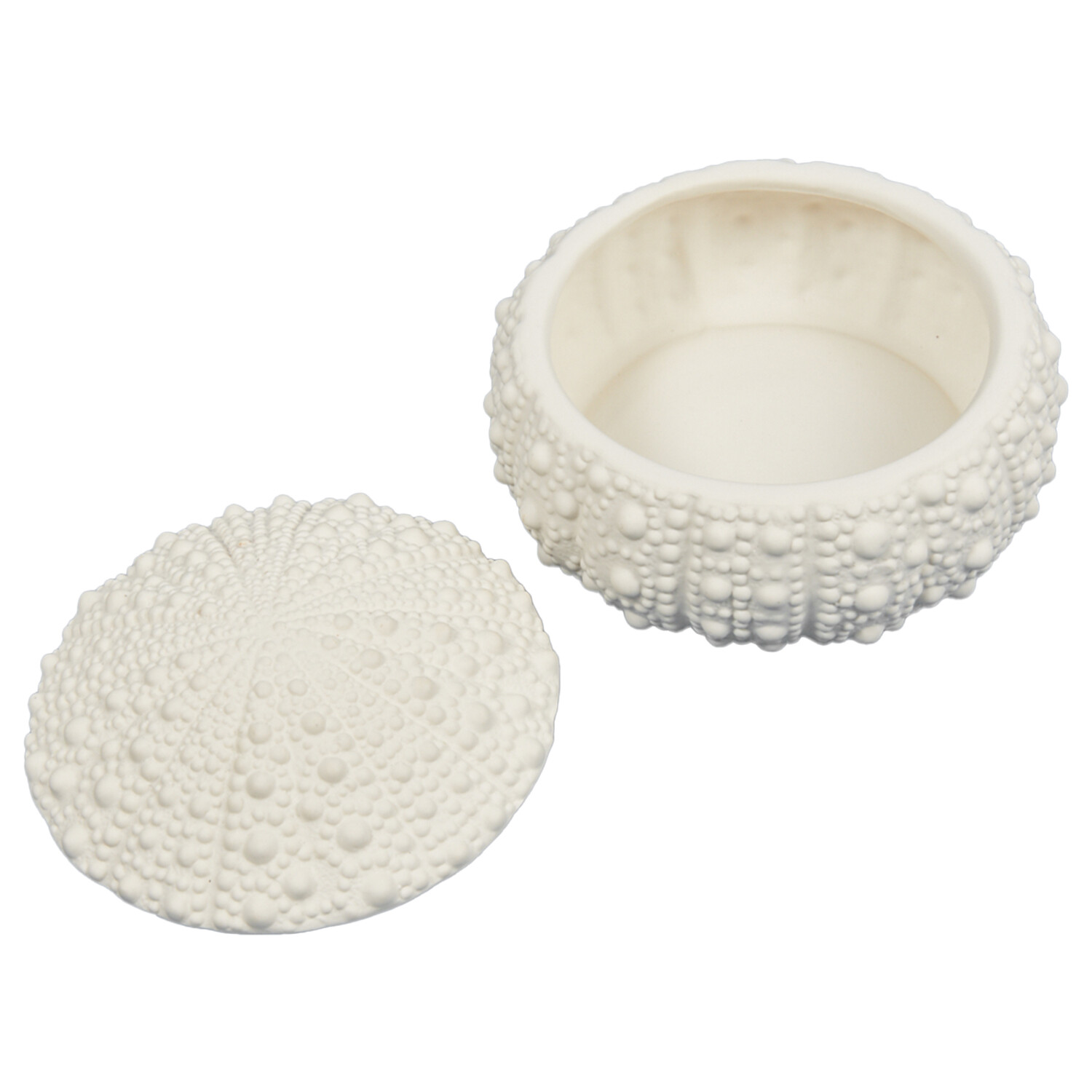 Sea Urchin Trinket Dish - White Image 3