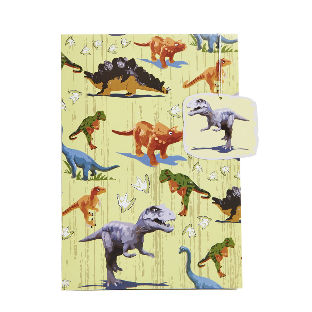 Wilko Dinos Gift Wrap 2 Sheets and 2 Tags Image